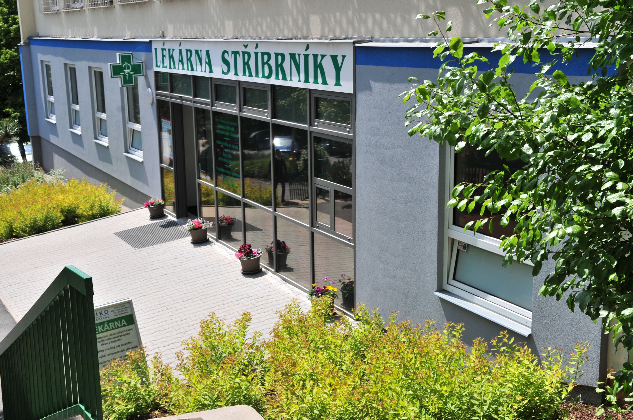 Na svoje předsevzetí nezůstanete sami